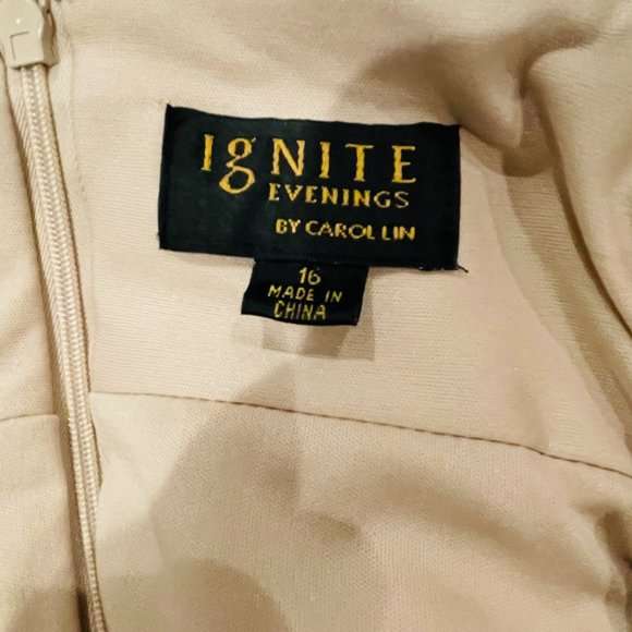 Gorgeous Elegant Formal Maxi Evening Gown - Picture 4 of 5